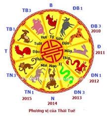 Vòng Thái Tuế chi phối Mệnh, Thân qua các cung Nhị hợp, Tam hợp & Xung chiếu