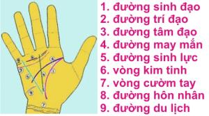 Đoán vận mệnh qua đường chỉ tay