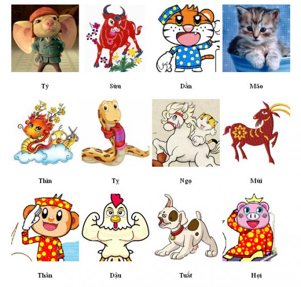 Quý Nhân Của Tuổi Quý Hợi: Bí Mật Thành Công Và May Mắn