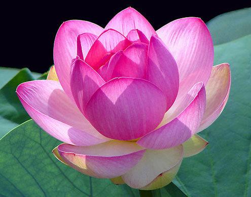 Phong tục kiêng kỵ trong tang lễ ma chay