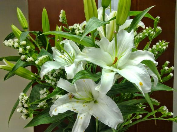 Cách bảo quản hoa ly tươi đẹp trong dịp Tết nguyên đán