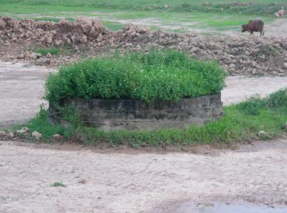 Chuyên gia khoa học lý giải về chuyện mộ kết trong dân gian