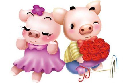 Tử vi trọn đời tuổi Hợi năm Đinh Dậu 2017
