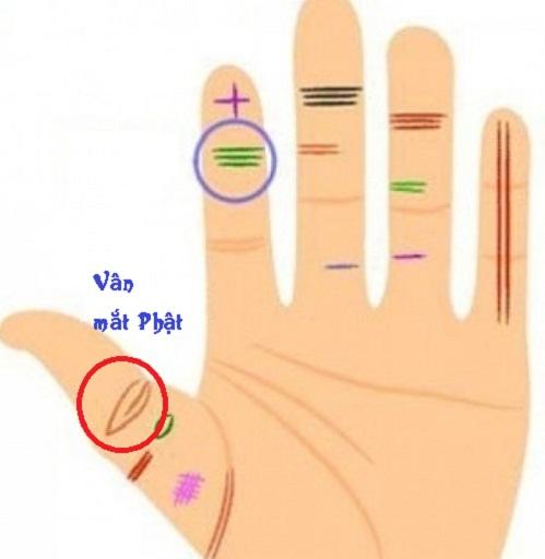Mắt Phật trên ngón tay là gì mà rất ít người có, đã có là rất đáng quý?