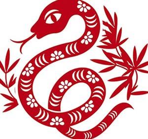 Quý Tỵ (14.02.1953 - 02.02.1954) - Nam mạng