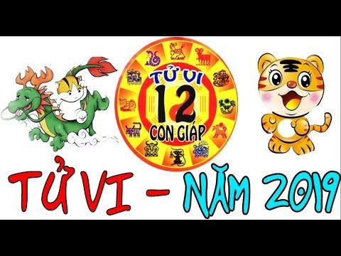 Sơ lược tử vi 2019 Kỷ Hợi