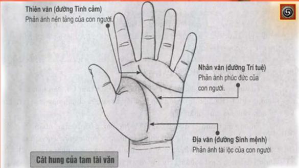 Xem đường chỉ tay đường trí tuệ