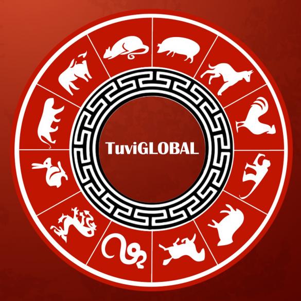 Cách đọc và giải nghĩa 1 lá số tử vi ?