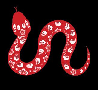 Đinh Tỵ (18.02.1977 - 06.02.1978) - Nữ mạng