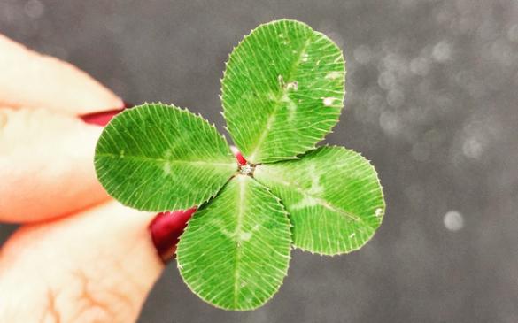 6 dấu hiệu chứng tỏ Thần Tài sắp gõ cửa nhà bạn