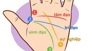 Dự đoán tương lai sướng khổ giàu nghèo qua đường vân cổ tay