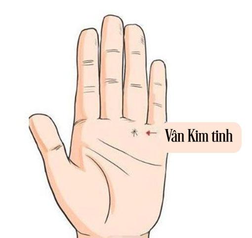 Sở hữu bàn tay chữ M, bạn có biết mình đặc biệt tới mức nào không?