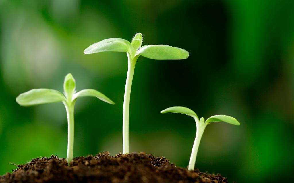 "Luật nhân, quả" và việc giáo dục đạo đức của Phật giáo