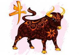 Tử vi trọn đời tuổi Sửu năm Đinh Dậu 2017