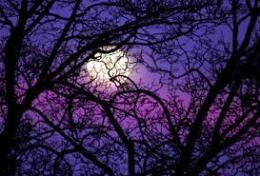 Ma có thật hay không?