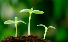 "Luật nhân, quả" và việc giáo dục đạo đức của Phật giáo