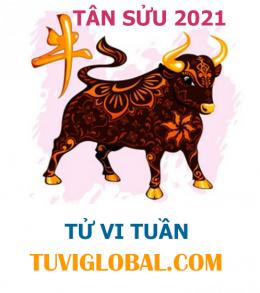 Xem sơ lược tử vi Tân Sửu 2021 